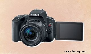 So machen Sie großartige Fotos mit der Canon EOS Rebel SL2 