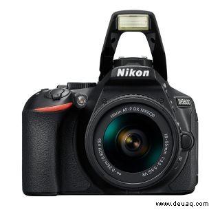 So machen Sie tolle Fotos mit der Nikon D5600 