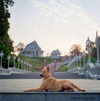 12 Tipps für herausragende Straßenfotografie 