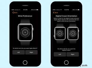 So richten Sie Ihre Apple Watch ein 