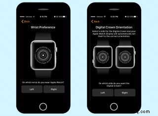 So richten Sie Ihre Apple Watch ein 