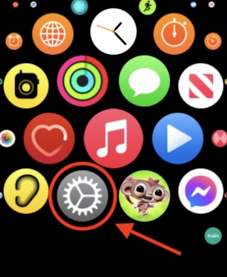 So erstellen Sie einen Screenshot auf der Apple Watch 