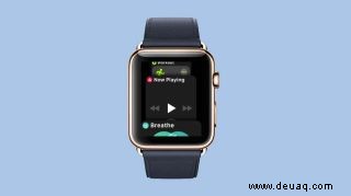 So fügen Sie Apps zum Apple Watch Dock hinzu und löschen sie 