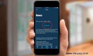 So verwenden Sie Alexa mit Roku 