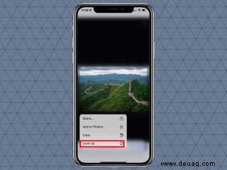 So verwenden Sie Visual Look Up in iOS 15 