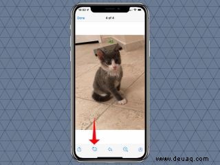 So verwenden Sie Visual Look Up in iOS 15 