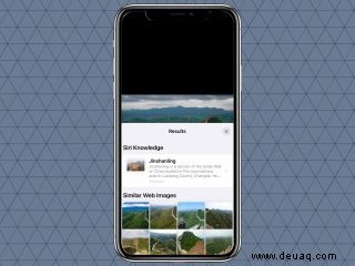 So verwenden Sie Visual Look Up in iOS 15 