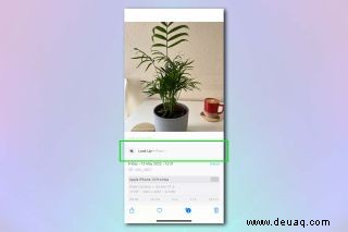 So identifizieren Sie eine Pflanze auf dem iPhone 