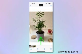 So identifizieren Sie eine Pflanze auf dem iPhone 
