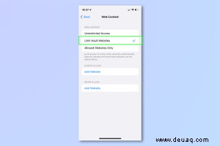 So blockieren Sie Websites auf iPhone und iPad 