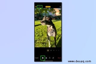 Diese versteckte iPhone-Funktion bringt Ihre Porträts auf die nächste Stufe 