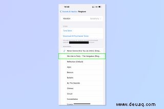 So stellen Sie einen Klingelton auf dem iPhone ein und wie finden Sie neue 