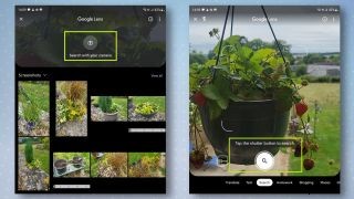 Identifizieren Sie jede Pflanze sofort mit dieser integrierten Android-Funktion 
