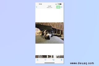 Diese iOS 16-Fotos-Funktion hat die Bildbearbeitung so viel einfacher gemacht 