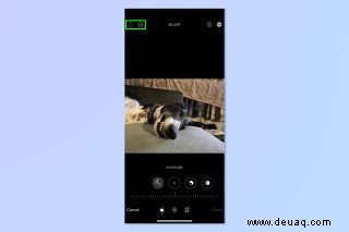 Diese iOS 16-Fotos-Funktion hat die Bildbearbeitung so viel einfacher gemacht 
