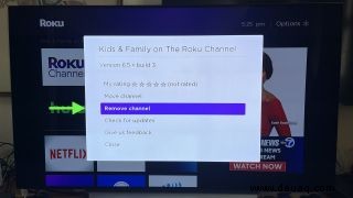So entfernen Sie Roku-Kanäle 