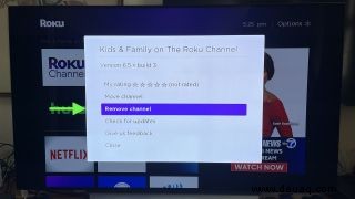 So entfernen Sie Roku-Kanäle 