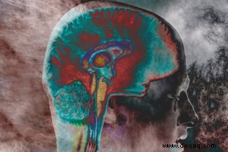 Psychedelika:Ein Leitfaden eines Neurowissenschaftlers, wie sie Ihr Gehirn verändern 