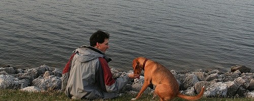 Wenn Haustiere sprechen könnten:Ein herzerwärmender Brief von Hund an Freund 