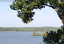 Die besten Häuser am See in Kentucky:Häuser und Hütten am Seeufer in KY 