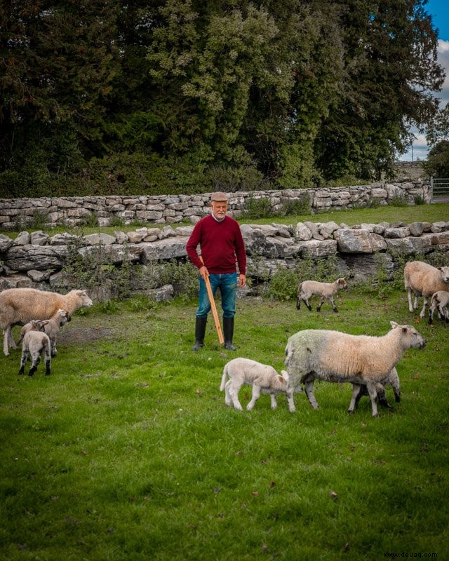 Westirland Reiseführer:Irlands Westküste erkunden 