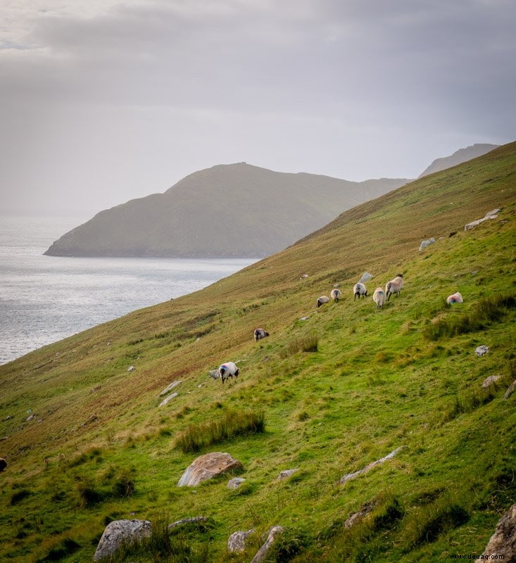 Westirland Reiseführer:Irlands Westküste erkunden 