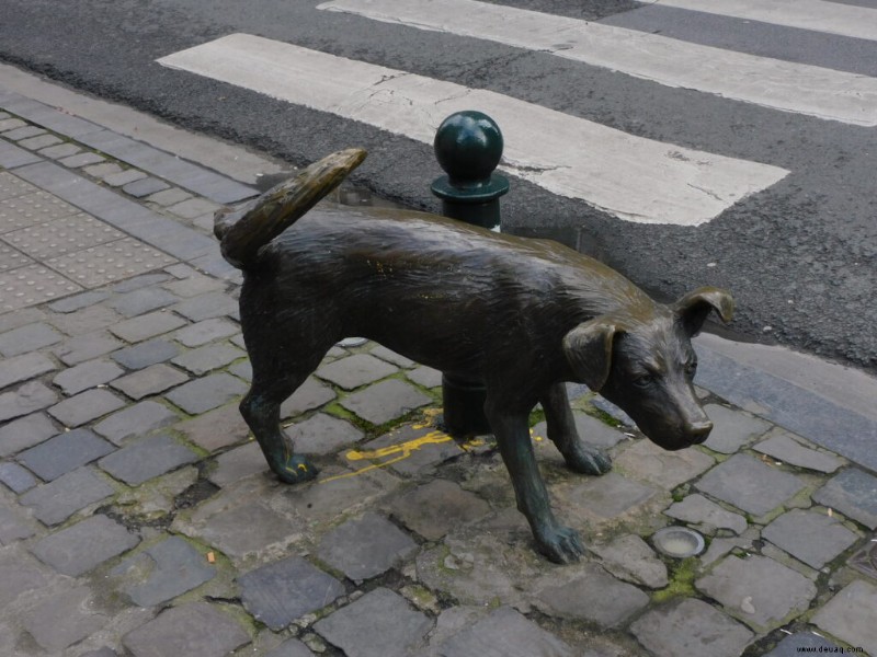 Wochenende in Belgien:Ein Leitfaden für Brüssel, Brügge + Gent 