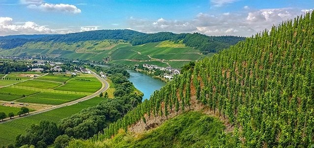 Die besten Weinregionen der Welt, die jeder Reisende im Jahr 2020 kennen sollte 