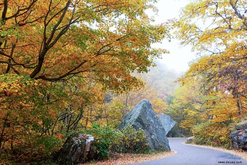 Beste Orte in Vermont zu besuchen:12 aufregende Abenteuer in Neuengland in VT 