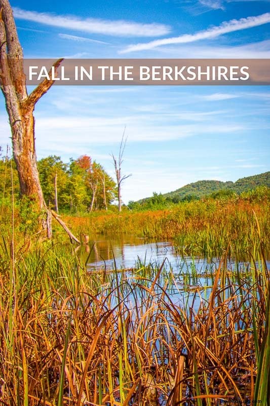 Herbst in den Berkshires – 6 Gründe, die Berkshires diesen Herbst zu besuchen! 