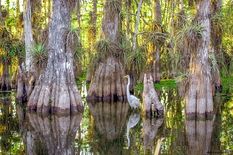 25 besten Orte an der Ostküste zu besuchen:Top-Urlaubsorte im Jahr 2022 