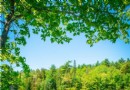 Die ultimative Roadtrip-Route für Neuengland im Jahr 2022 