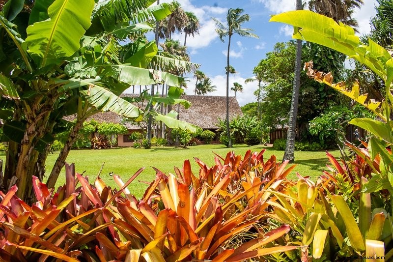 Molokai wie ein Einheimischer:Das echte Hawaii (Unternehmungen + Reiseführer) 