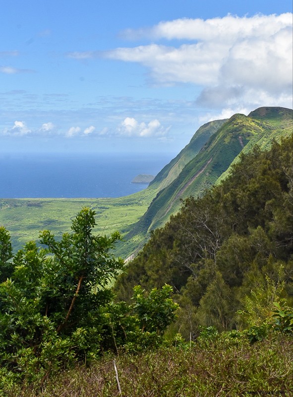 Molokai wie ein Einheimischer:Das echte Hawaii (Unternehmungen + Reiseführer) 