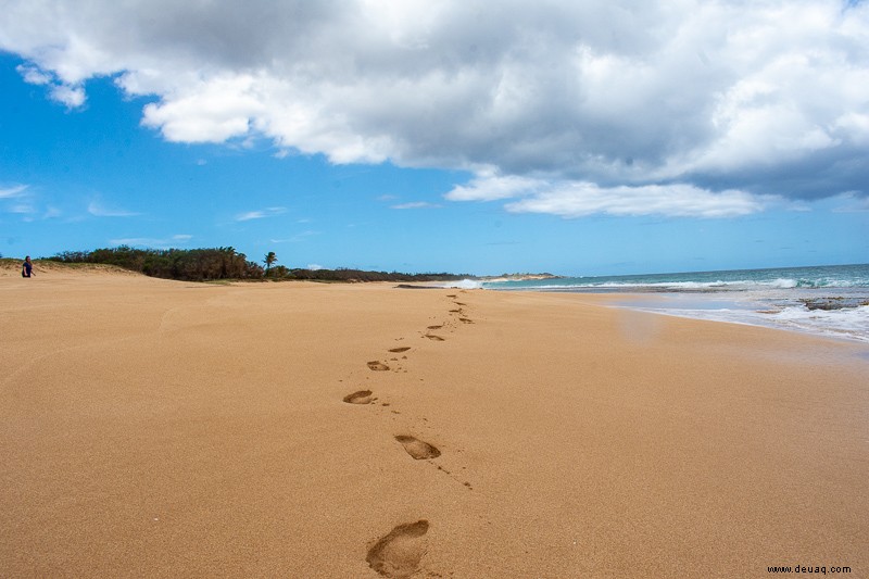 Molokai wie ein Einheimischer:Das echte Hawaii (Unternehmungen + Reiseführer) 