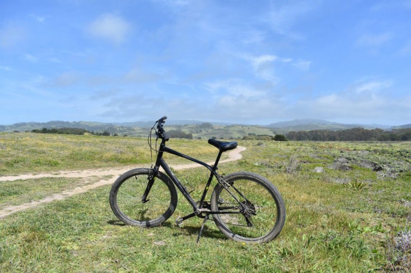 Warum Sie Half Moon Bay als Ihren nächsten Traumurlaub besuchen sollten! 