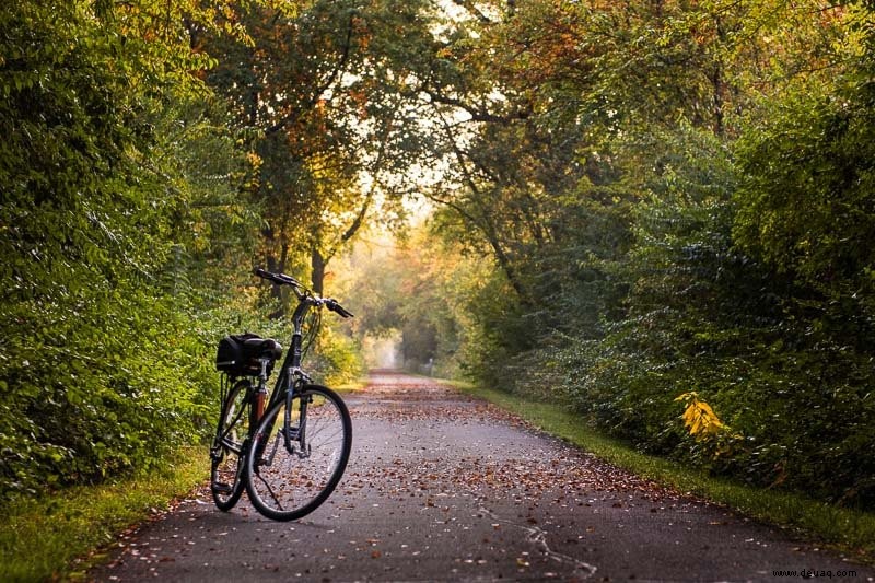 12 Gründe, Cape Cod im Herbst zu besuchen 