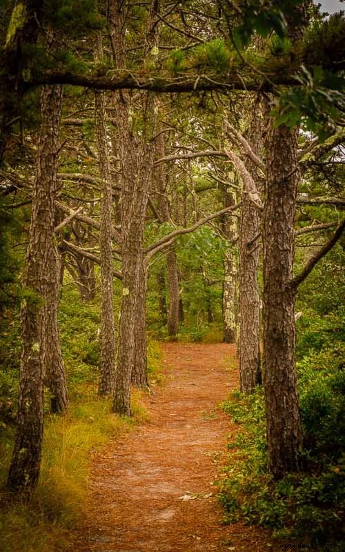 12 Gründe, Cape Cod im Herbst zu besuchen 