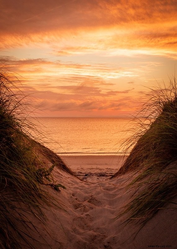 12 Gründe, Cape Cod im Herbst zu besuchen 