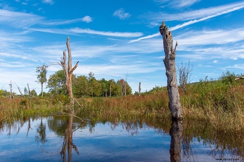 Herbst in Neuengland:18 beste Städte, Bauernhöfe, Aktivitäten + Festivals 