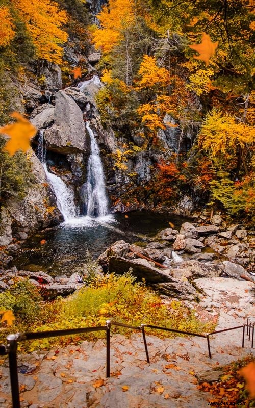 Herbst in Neuengland:18 beste Städte, Bauernhöfe, Aktivitäten + Festivals 