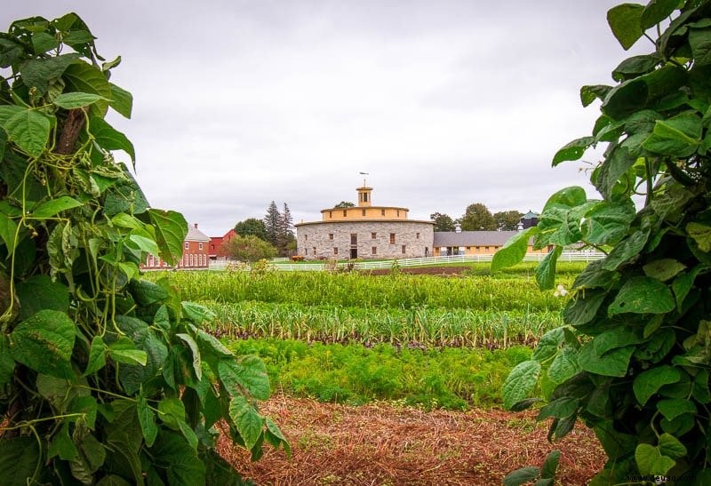 Herbst in Neuengland:18 beste Städte, Bauernhöfe, Aktivitäten + Festivals 