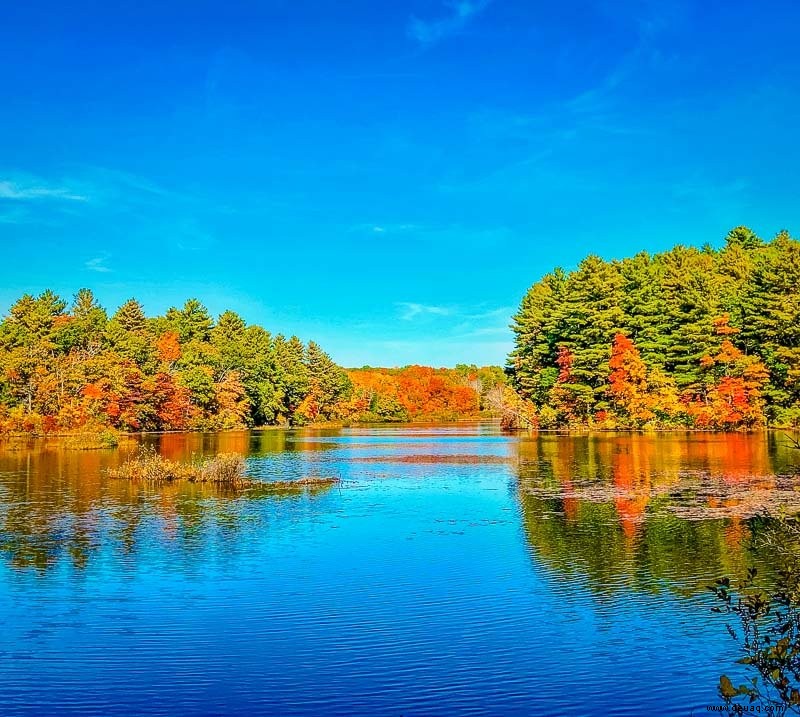 Herbst in Neuengland:18 beste Städte, Bauernhöfe, Aktivitäten + Festivals 