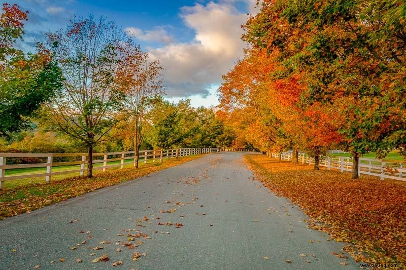 Herbst in Neuengland:18 beste Städte, Bauernhöfe, Aktivitäten + Festivals 