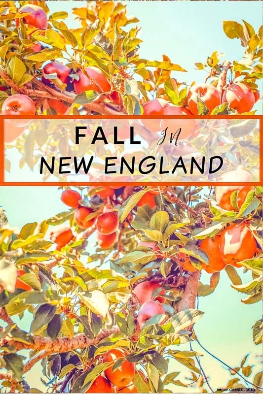 Herbst in Neuengland:18 beste Städte, Bauernhöfe, Aktivitäten + Festivals 