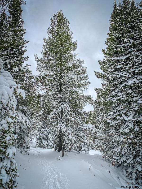 Die 7 besten Orte, die man im Winter in Colorado besuchen sollte 