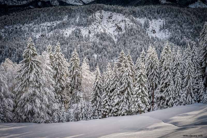 Die 7 besten Orte, die man im Winter in Colorado besuchen sollte 