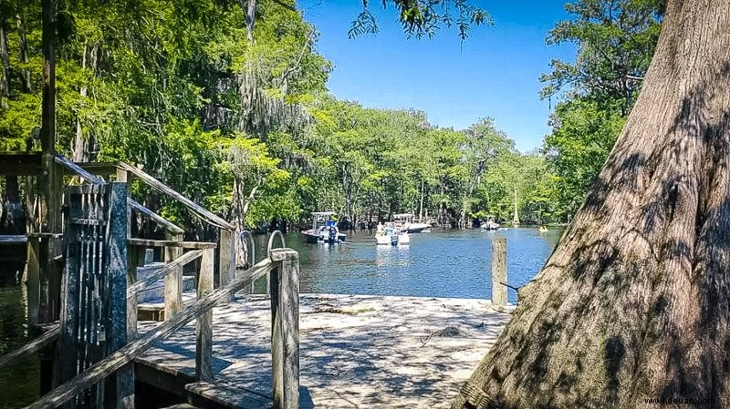 27 einzigartige Airbnbs in Florida:Villen, Strandhäuser + Ferienwohnungen 