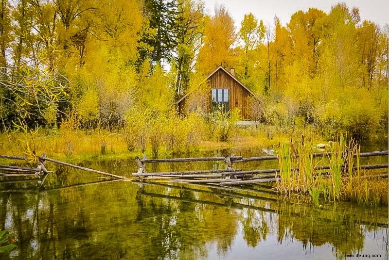 Die 16 besten Airbnbs in Jackson Hole, Wyoming:Hütten, Lodges und mehr 