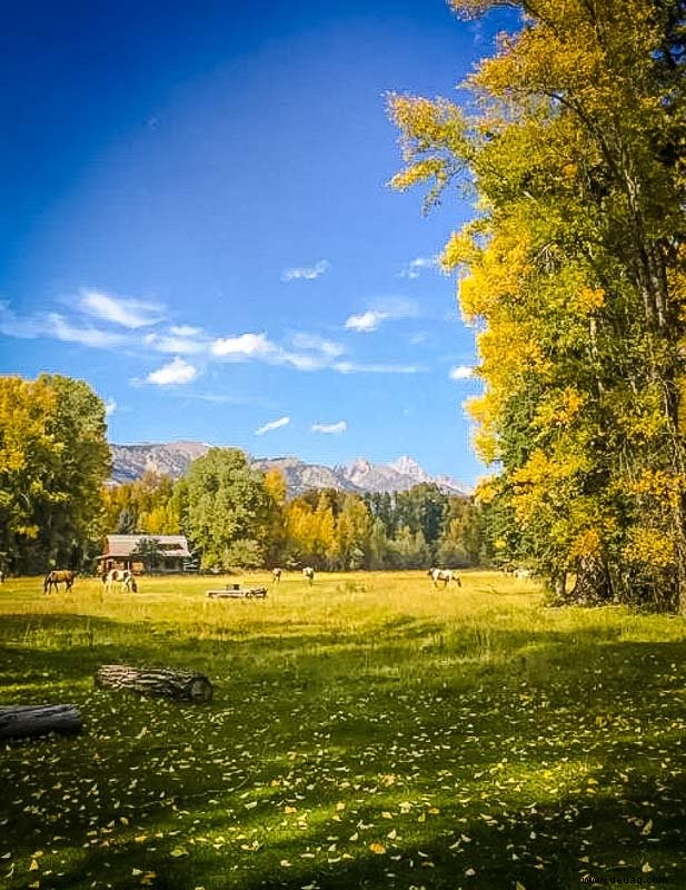 Die 16 besten Airbnbs in Jackson Hole, Wyoming:Hütten, Lodges und mehr 